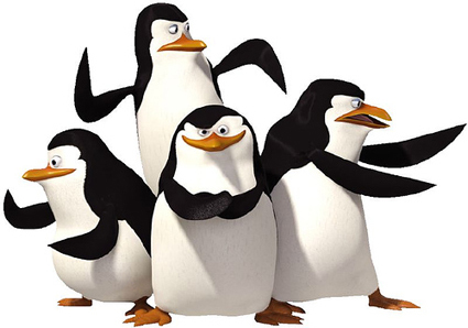 penguin