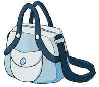 cinderella's bag