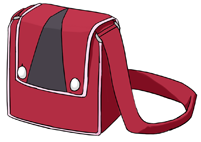 eilonwy's bag