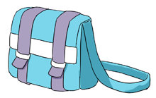 elsa's bag