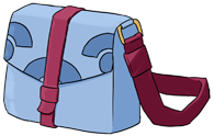 bag